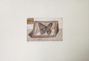 Arja van den Berg Vlinder